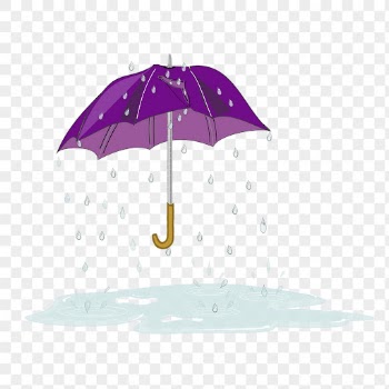 Umbrella png sticker, rainy season | Free PNG - rawpixel