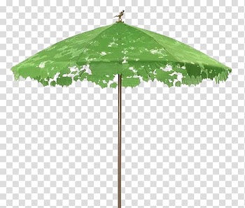 Umbrella Shade Droog Lace, Umbrella leaves transparent background PNG clipart