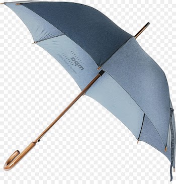 Umbrella, Stock Photography, Photography, Leaf PNG