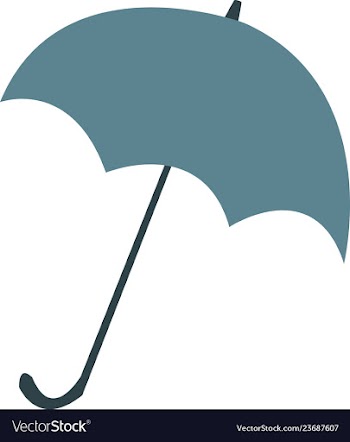 Umbrella vector image