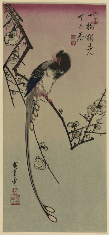 Ume ni onagadori. Original from the Library | Free Photo - rawpixel