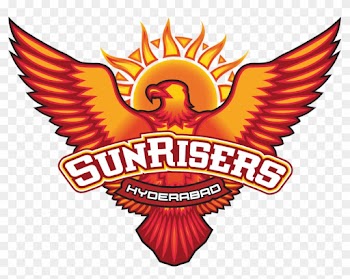 Unadkat Takes His Wicket - Sunrisers Hyderabad Logo Png