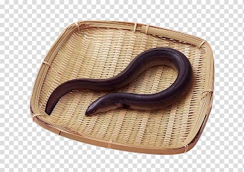Unagi Eel Unadon Japanese Cuisine Kabayaki, Bamboo frame in the eel material transparent background PNG clipart