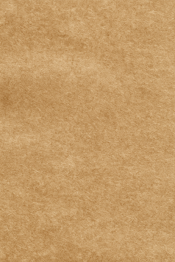 Unbleached Kraft Paper Texture