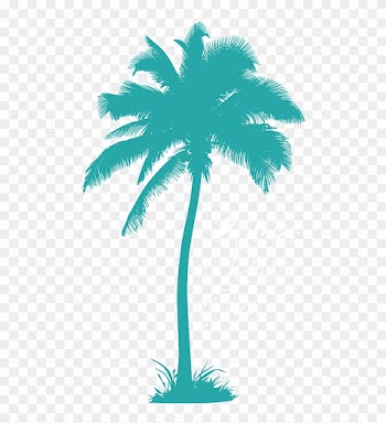 Under A Palm Tree Fashion Travel Photographer - Palm Tree Silhouette