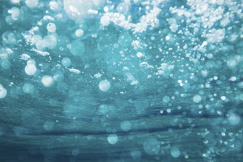 Under. Original public domain image | Free Photo - rawpixel