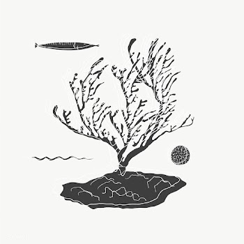 Under the sea illustration | Free stock vector - 47031