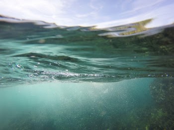 Under Water Photo