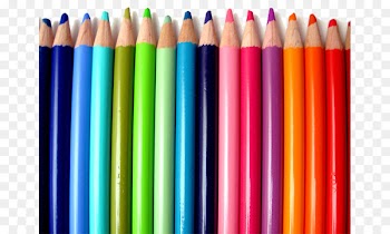 Understanding Color Colored pencil Bic - Colored pencils 