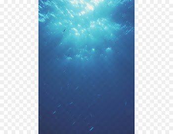 Underwater Marine biology Ocean Marine mammal - sea 