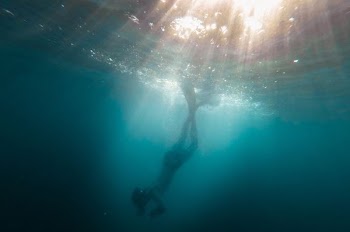 underwater photo of person diving