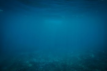 underwater photography