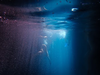 Underwater Photography