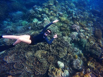 Underwater Photography Of Person
