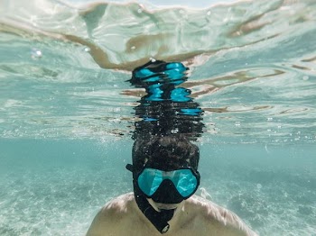 underwater photography of person diving
