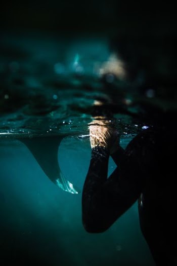 underwater photography of person submerged in water