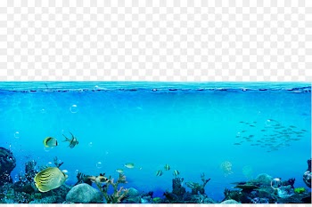 Underwater Sea Wallpaper - The underwater world 