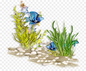 Underwater Sea World Ocean Coral reef - sea 