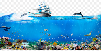 Underwater World Dolphin Sailing png download - 1200*600 - Free ...
