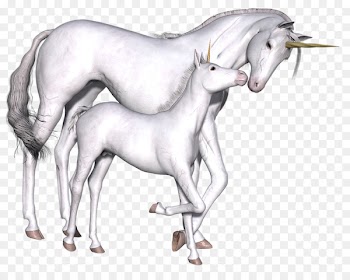 Unicorn Fairy tale Imaginary Myth Game - unicorn 