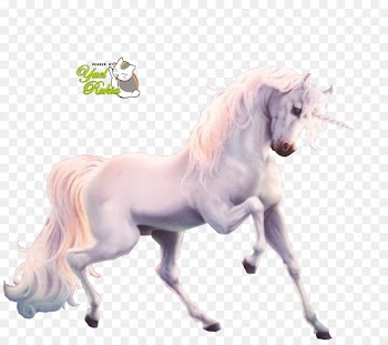 Unicorn Fan art Mane Legendary creature - Fire Unicorn 