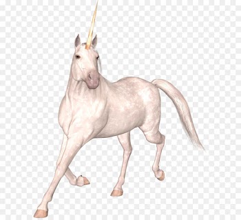 Unicorn Frappuccino Legendary creature Indus Valley Civilisation Faculty of Informatics and Information Technologies - Unicorn PNG 