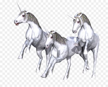 Unicorn horn Fairy tale Mythology Horse - unicorn 