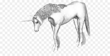 Unicorn horn Horse Legendary creature Unicorn horn - unicorn 