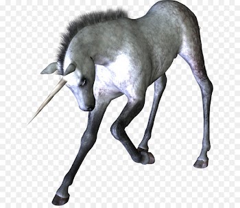 Unicorn horn Horse Mythology - unicorn 