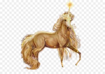 Unicorn Horse Drawing - Cartoon Unicorn 