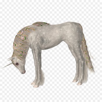 Unicorn Horse Euclidean vector - unicorn 