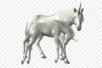 Unicorn Horse Icon PhotoScape - Unicorn PNG 