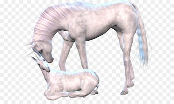 Unicorn Horse Mane Clip art - unicorn 