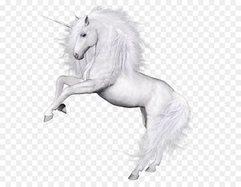 Unicorn Horse Oreus Kristian's Quest Mane - Unicorn PNG 