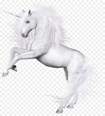 Unicorn Horse Pegasus Clip art - the horse exempts png 