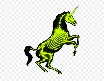 Unicorn Horse Skeleton Skull Art - unicorn 