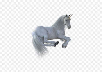 Unicorn Horse - unicorn 