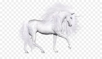 Unicorn Horse White - Pure white Unicorn 