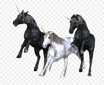 Unicorn Legendary creature Fairy Tale Fantasy - unicorn horn 