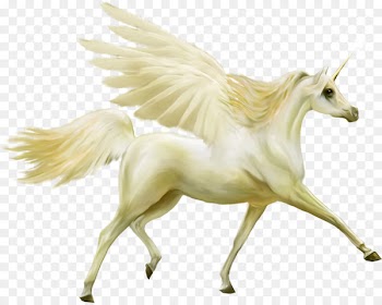 Unicorn Pegasus Horse - Pegasus 