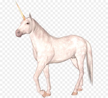 Unicorn PNG 