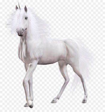 Unicorn Portable Network Graphics American Paint Horse Clip art White - equine 