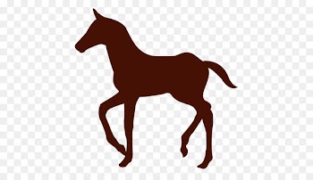 Unicorn Silhouette - farmer 