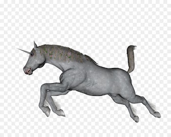 Unicorn Stallion Mustang Pony - unicorn horn 