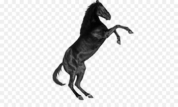 Unicorn - Stood dark horse 