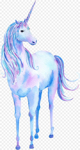 Unicorn Watercolor painting Poster - Unicorn cartoon animal 