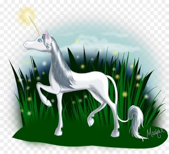 Unicorn Wildlife - unicorn 