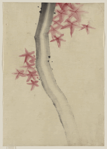 [Unidentified, possibly a tree branch | Free Photo - rawpixel
