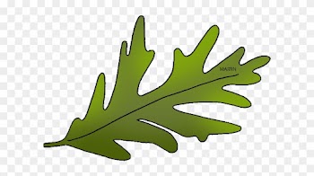 United Clip Art By Phillip Martin, State Tree - Connecticut State Tree Leaf