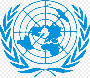 United Nations Security Council Model United Nations United Nations System United Nations Department of Political Affairs - unicef logo 